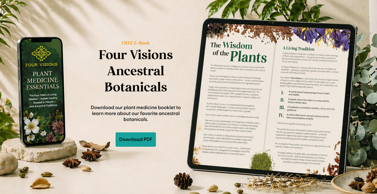 Four Visions